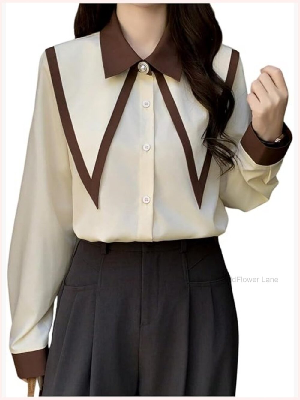 Women's Long Sleeve Pointed Collar Button Down Blouse Dressy Casual Work Shirt